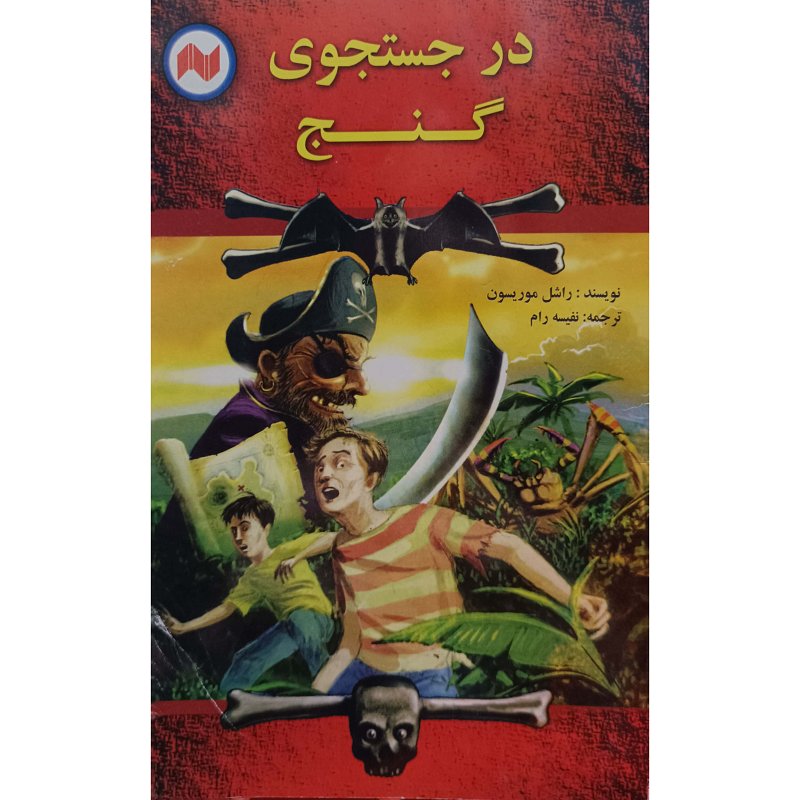 در جستجوی گنج