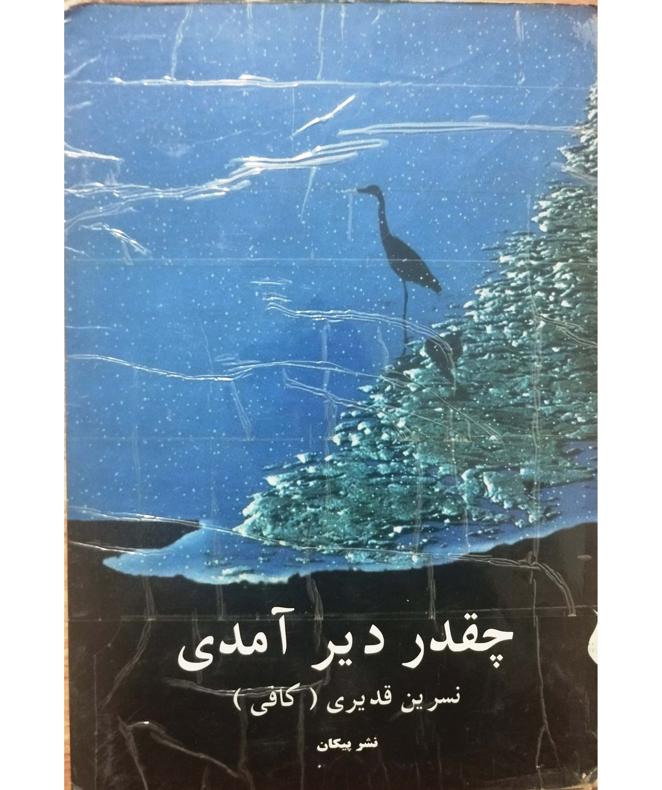 چقدر دیر آمدی