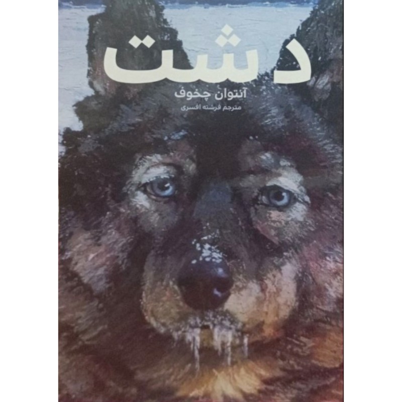 دشت