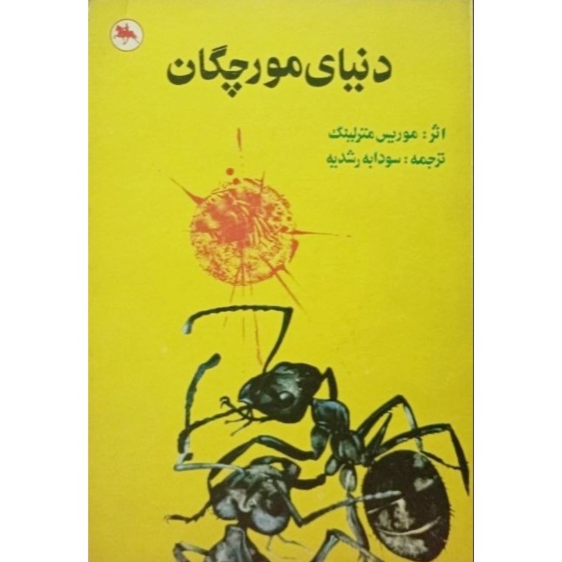دنیای مورچگان