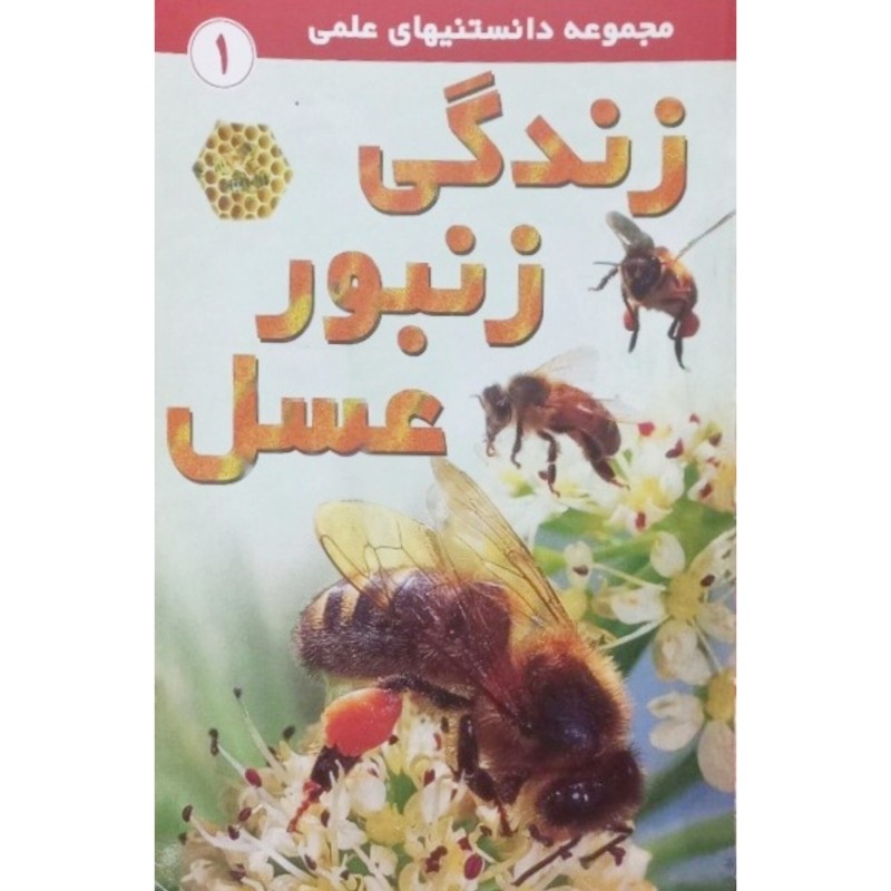 زندگی زنبور عسل