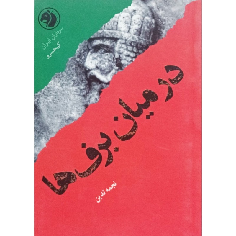 در میان برف ها
